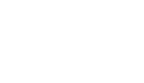 bedhouse logo